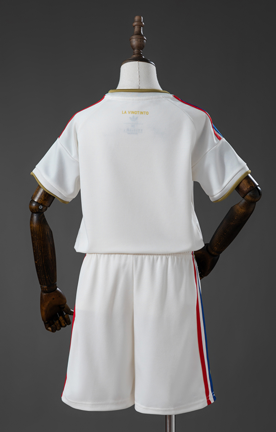 Camiseta Venezuela Visitante 2026 - Edición Especial Retro (Blanca)